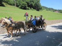 Pferdegespann mit Ehrenmitglied Anni Lang